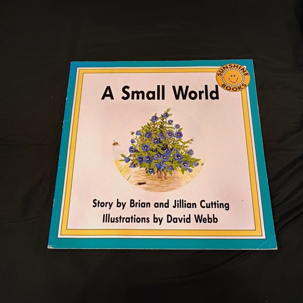 A Small World Sunshine Books Big Book Brian Jillian Cutting 1988 Wright Group